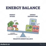 Energy Expenditure