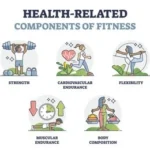 components of fitness