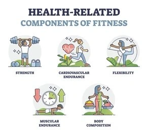 components of fitness