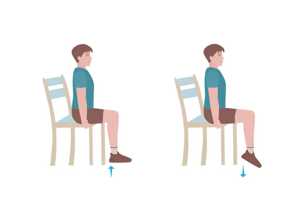 calf raise seated